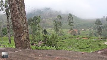 محمد رشاد الشريف   سورة الزمر 39   مصطفى غريب