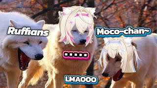 Fuwawa looks so happy while making fun of Mococo