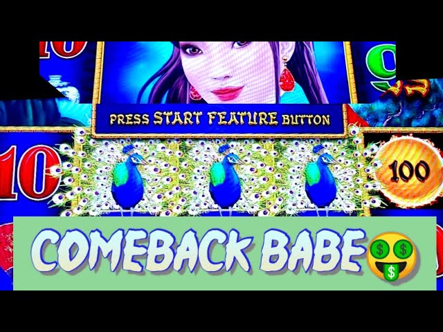 🤑Jackpot Peacock 🦚 Princess Dragon Link slot machine casino bonuses class=