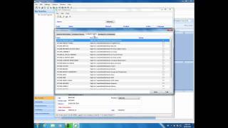 Famous ERP Wizard Cloud Edition - Getting Started Step 2 - Users Wealth