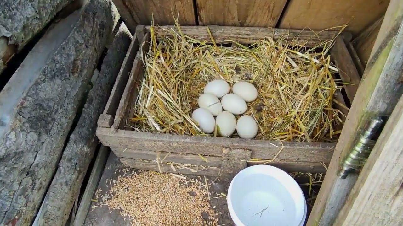 👉 viața bună nu e despre cât de mult ai - ci despre cât de puțin ai nevoie ca să fii bine.