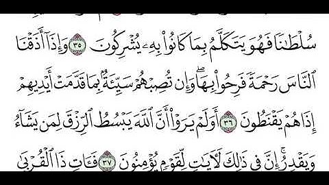 سورة الروم . ناصر العتيبي 