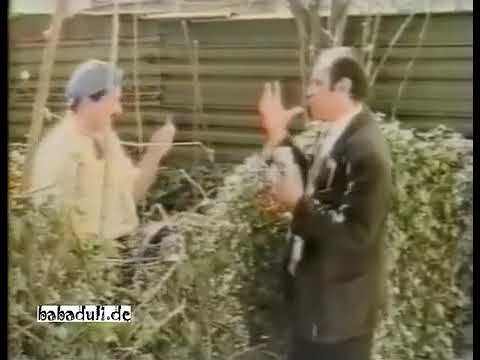 თქვენ დაიბადეთ ჯიგარი