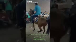 الريس محمد ابواسماعيل للمزمارالبلدي