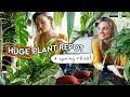 Huge spring repotting sesh  repot with me  qa
