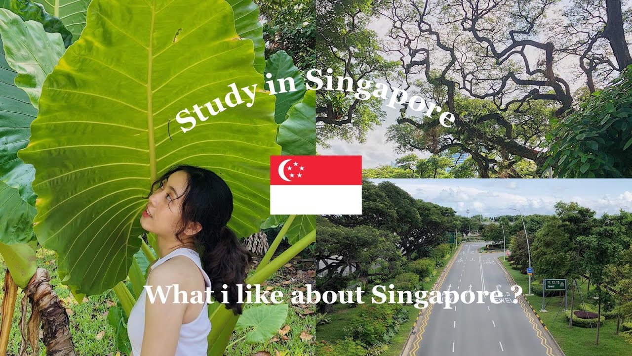 Du học singapore 2018 | [Du học Singapore] 8 điều mình thích về việc du học Singapore