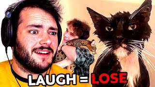 If I Laugh, The Video Ends (But It's Only Cats)