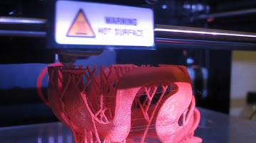 Time Lapse Bunny - 3D Print on Makerbot Replicator 2 Printer