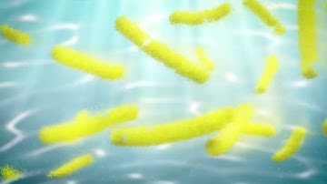 Pexena® 20WG (Pexena Cốm): Tan Tích Tắc - Diệt Tức Khắc