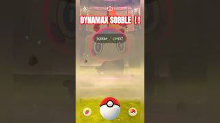 DYNAMAX SOBBLE ⁉️ AKHIR PEKAN DYNAMAX ENTEI POKÉMON GO GAMEPLAY ‼️ #pokemon #pokemongo #game