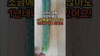 오이는 냉동 보관하세요! 소금에 절이지 않아도 일년내내 먹어요. #오이 #오이보관법
