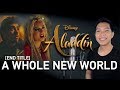 A whole new world zayn part only  karaoke  aladdin