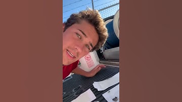 Brown Recluse Spider Infestation