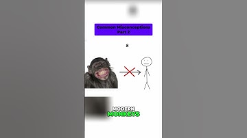 🤯 Common Myths DEBUNKED! 🦈🥕 #shorts