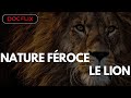 Nature froce  le lion  docflix
