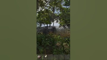 jungle update goes CRAZY on MODDED... #rust