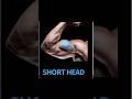 Top 3 short head Biceps exercise #biceps #gym #motivation #shorts