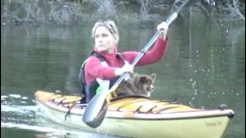 Saranac Classic Kayak by Swift