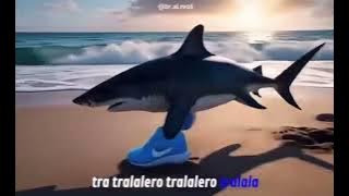 Tralalero Tralala (Havana Parody) Italian Brainrot 🦈🇮🇹
