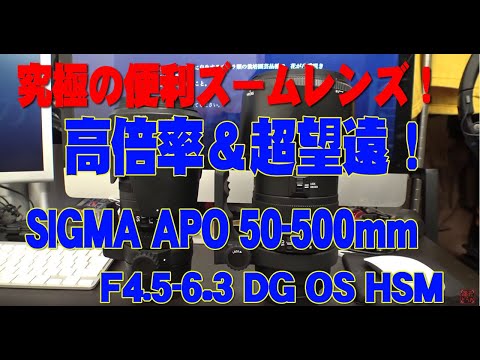 究極の便利ズームレンズ！ 高倍率＆超望遠！SIGMA APO 50-500mm F4.5-6.3 DG OS HSM 導入！