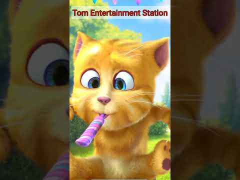 My Tom Ginger 2 Says / Two Hundred Seven / Short Video #shorts