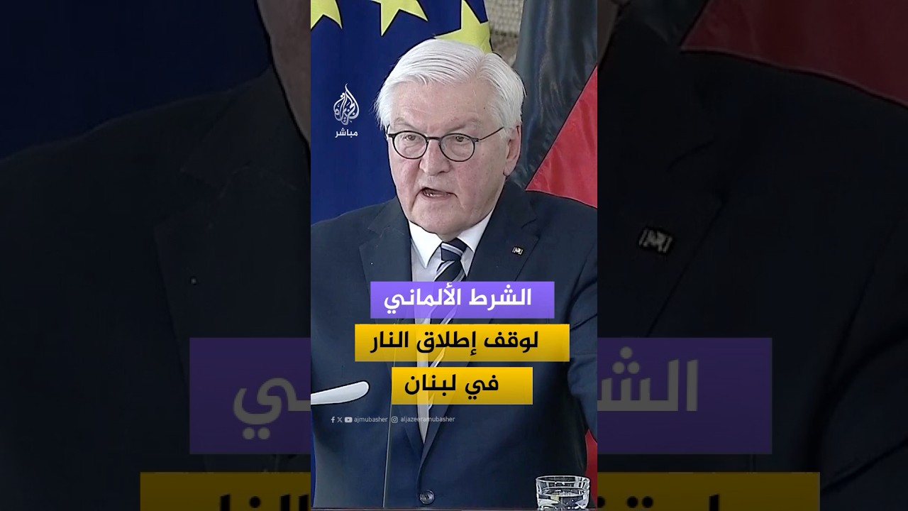 الرئيس الألماني: وقف إطلاق النار بين إسرائيل وحزب الله فرصة لتحقيق الاستقرار في المنطقة