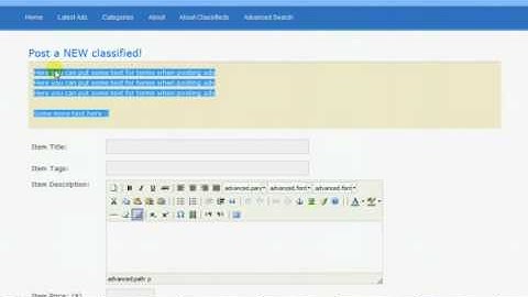 WordPress Classified Theme Admin Panel