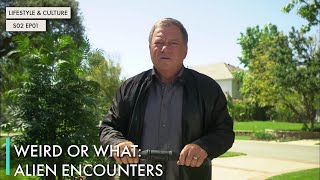 Weird or What: Alien Encounters