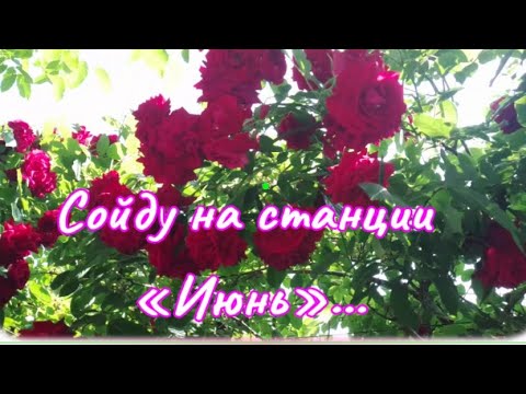🎶🎶Сойду на станции июнь...🌷🎶🌹