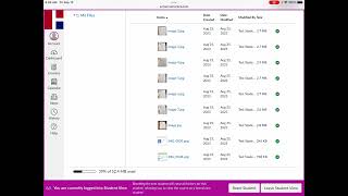 Canvas Help - How to delete files