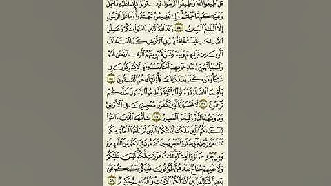 سورة النور من الآية ٥٤ إلى الآية ٥٨بصوت القارئ ماهر المعيقلي