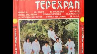 Video thumbnail of "cumbia del raton.mp4 (tropical tepexpan)"