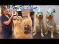 Puppies First Birthday Party Surprise!