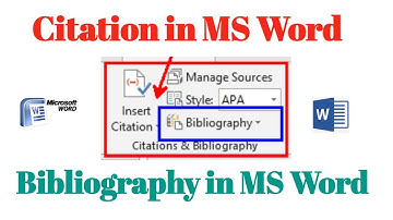 Learn Citation and Bibliography in Reference Tab - MS Word