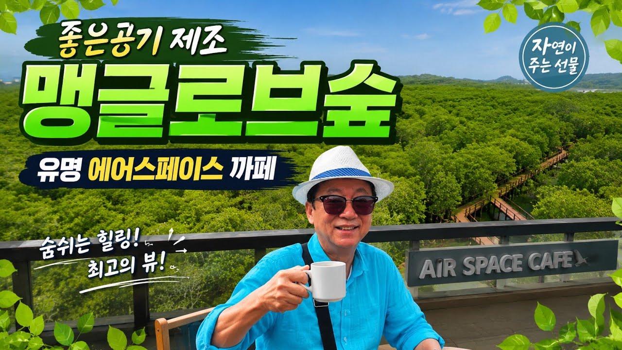 좋은공기 제조 은퇴조교사  맹그로브숲 &  유명 에어스페이스까페
