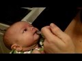 How to Give a Puppy a Liquid, Oral Antibiotic - YouTube