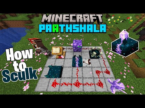 वीडियो: Minecraft ऑफ-नेटवर्क खेलने के 6 तरीके