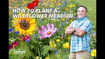 How To Plant A Wildflower Meadow | Part I