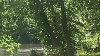 2 North Carolina National Guard Boeing AH-64 Apache helicopters flying over the Cape Fear River