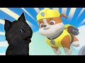 СУПЕР КОТ И СУПЕР СОБАКИ ИГРАЕМ В МИНИ ИГРЫ ПРЫГАЛКИ СКАКАЛКИ #10 🐱 Mighty Pups Save Adventure Bay