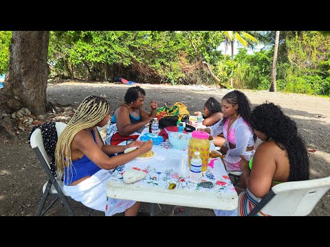 Come to Jamaica and have a picnic with us | our subscriber enjoy the food laughter and fun with us