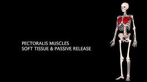 Soft Tissue and Passive Release Techniques for Pec Major & Minor Trigger Points