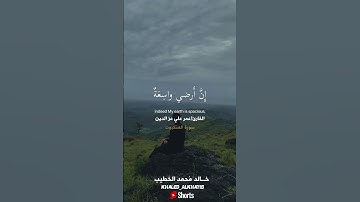 تلاوة هادئة وجميلة جدًا للقارئ الشيخ عمر علي​⁠@Omar-Ali-Ezz #قرآن_كريم #آيات #تصوير #اعلاميين #quran