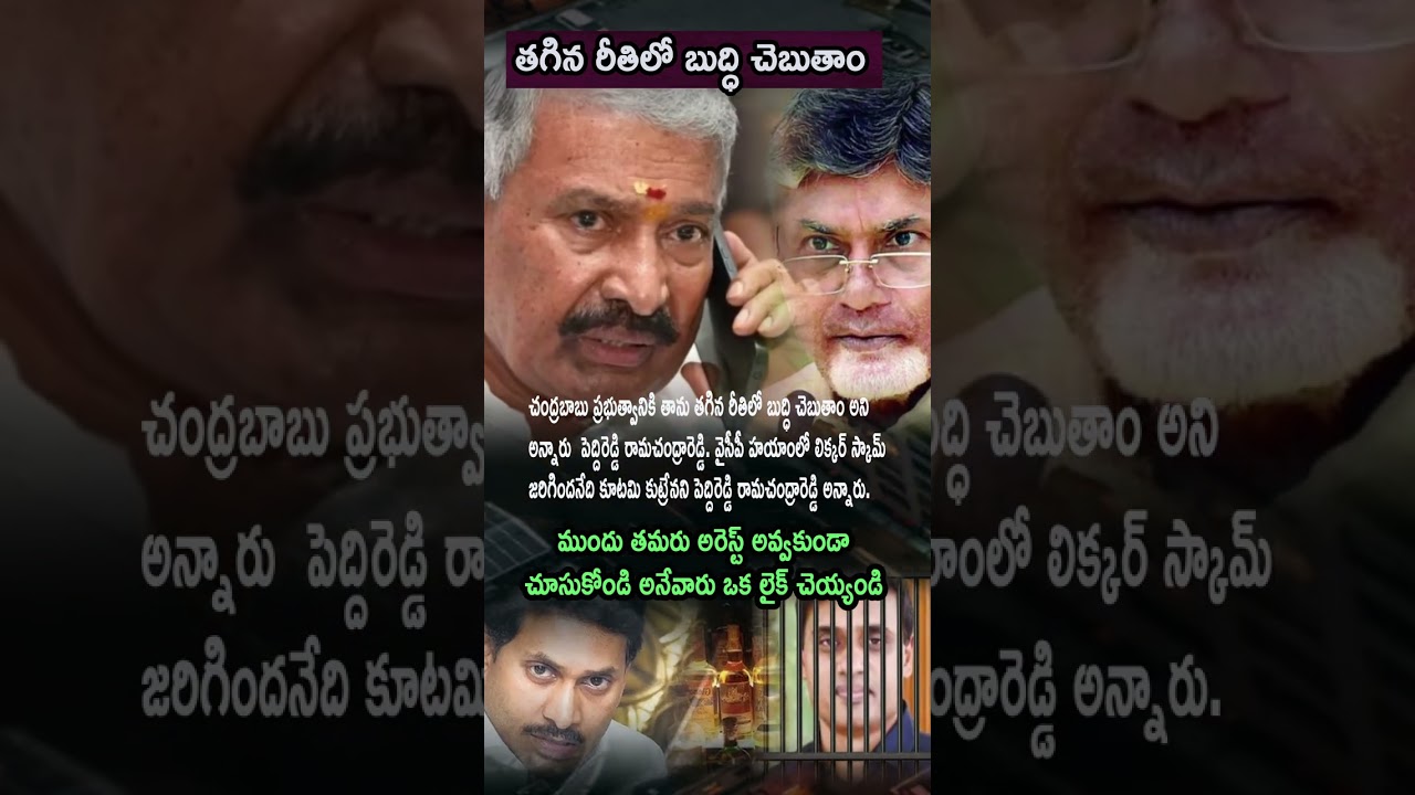 PeddiReddy Fires on Chandrababu Govt – “Liquor Scam Allegations are Coalition Conspiracy!”