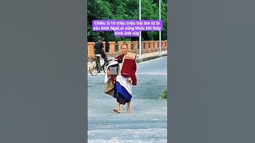 chiều 3/10 triệu triệu trái tim từ bi yêu kính Ngài,ai cũng khóc khi thấy hình ảnh này#suminhtue #sh