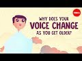 Why does your voice change as you get older  shaylin a schundler