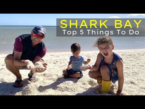 Video: Shark Bay, Western Australia: Patrimonio dell'Umanità