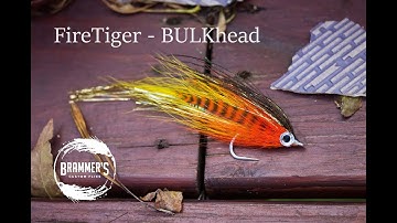 Fly Tying: Beginner Predator Flies - Bonus: FireTiger BULKhead