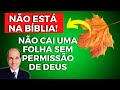 NÃO ESTÁ NA BÍBLIA! Veja onde está a frase "não cai uma folha sem permissão de Deus"!