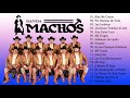 Banda Machos Puras Rancheras